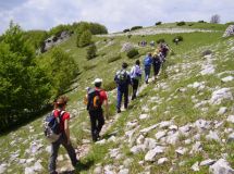 Il Club Alpino Italiano organizza tre escursioni dedicate alla scoperta delle Riserve naturali